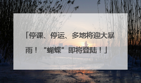 停课、停运、多地将迎大暴雨！“蝴蝶”即将登陆！