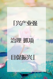 兴产业强治理 抓项目促振兴