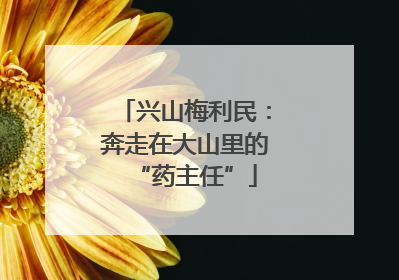 兴山梅利民：奔走在大山里的“药主任”