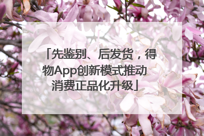 先鉴别、后发货，得物App创新模式推动消费正品化升级