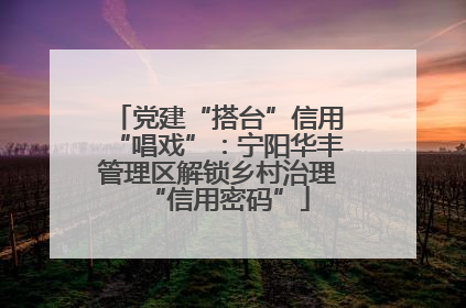 党建“搭台”信用“唱戏”：宁阳华丰管理区解锁乡村治理“信用密码”