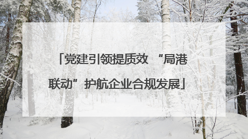 党建引领提质效 “局港联动”护航企业合规发展