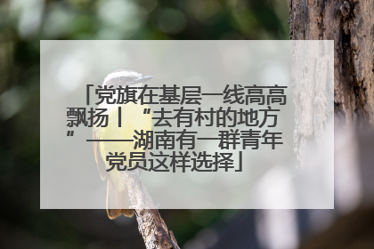 党旗在基层一线高高飘扬丨“去有村的地方”——湖南有一群青年党员这样选择