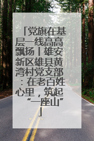 党旗在基层一线高高飘扬丨雄安新区雄县黄湾村党支部：在老百姓心里，筑起“一座山”