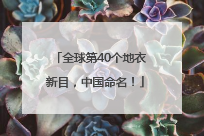 全球第40个地衣新目，中国命名！