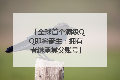 全球首个满级QQ即将诞生：拥有者继承其父账号