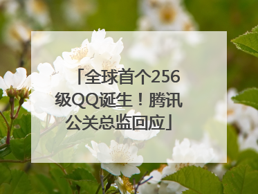 全球首个256级QQ诞生！腾讯公关总监回应