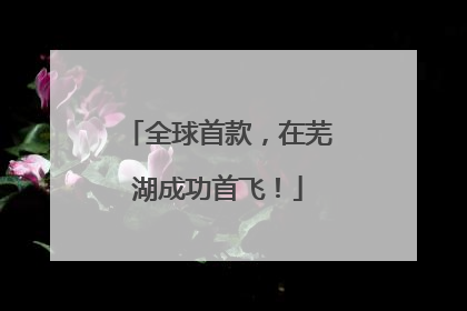 全球首款，在芜湖成功首飞！