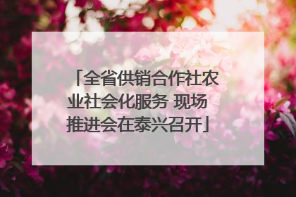 全省供销合作社农业社会化服务 现场推进会在泰兴召开
