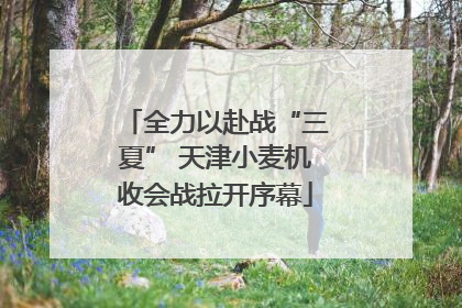 全力以赴战“三夏” 天津小麦机收会战拉开序幕