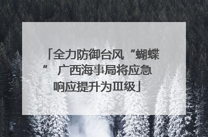 全力防御台风“蝴蝶” 广西海事局将应急响应提升为Ⅲ级