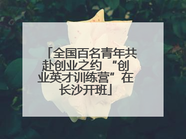 全国百名青年共赴创业之约 “创业英才训练营”在长沙开班