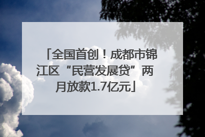 全国首创！成都市锦江区“民营发展贷”两月放款1.7亿元
