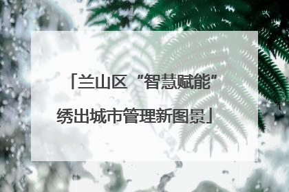 兰山区“智慧赋能”绣出城市管理新图景