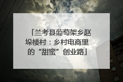 兰考县葡萄架乡赵垛楼村：乡村电商里的“甜蜜”创业路