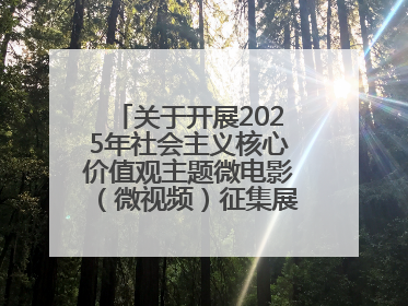 关于开展2025年社会主义核心价值观主题微电影（微视频）征集展示活动的公告