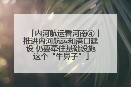 内河航运看河南④丨推进内河航运和港口建设 仍要牵住基础设施这个“牛鼻子”