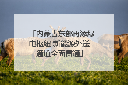 内蒙古东部再添绿电枢纽 新能源外送通道全面贯通