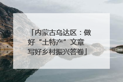 内蒙古乌达区：做好“土特产”文章 写好乡村振兴答卷