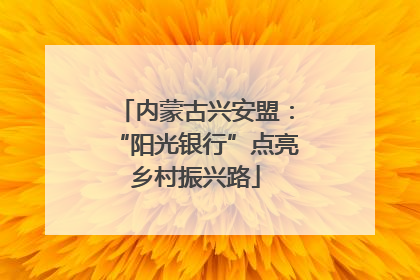 内蒙古兴安盟：“阳光银行”点亮乡村振兴路