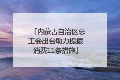 内蒙古自治区总工会出台助力提振消费11条措施