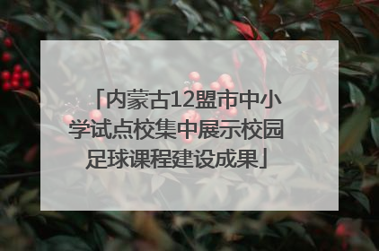 内蒙古12盟市中小学试点校集中展示校园足球课程建设成果