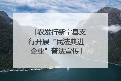农发行新宁县支行开展“民法典进企业”普法宣传
