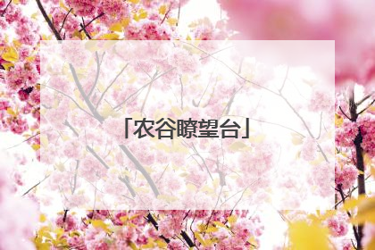 农谷瞭望台