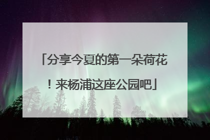 分享今夏的第一朵荷花！来杨浦这座公园吧