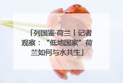 列国鉴·荷兰丨记者观察：“低地国家”荷兰如何与水共生