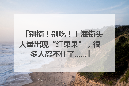 别摘！别吃！上海街头大量出现“红果果”，很多人忍不住了……