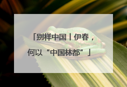 别样中国丨伊春，何以“中国林都”