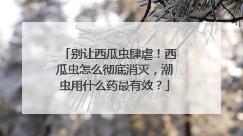 别让西瓜虫肆虐！西瓜虫怎么彻底消灭，潮虫用什么药最有效？