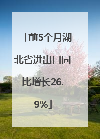 前5个月湖北省进出口同比增长26.9%