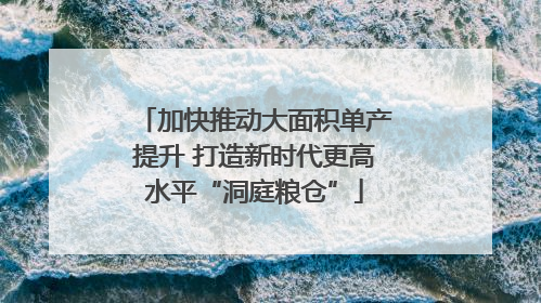 加快推动大面积单产提升 打造新时代更高水平“洞庭粮仓”