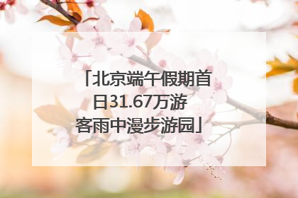 北京端午假期首日31.67万游客雨中漫步游园