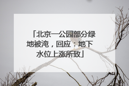 北京一公园部分绿地被淹，回应：地下水位上涨所致