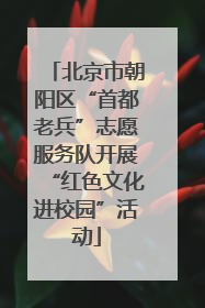 北京市朝阳区“首都老兵”志愿服务队开展“红色文化进校园”活动
