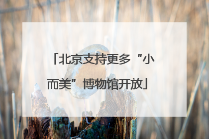 北京支持更多“小而美”博物馆开放