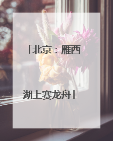 北京：雁西湖上赛龙舟