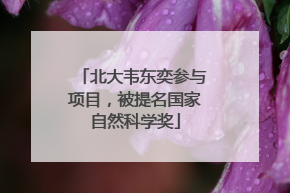 北大韦东奕参与项目，被提名国家自然科学奖