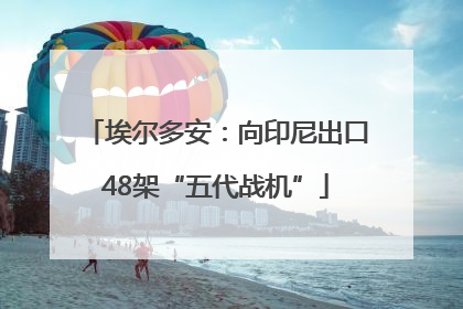 埃尔多安：向印尼出口48架“五代战机”