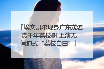埃文凯尔现身广东茂名 赏千年荔枝树 上演无间道式“荔枝自由”