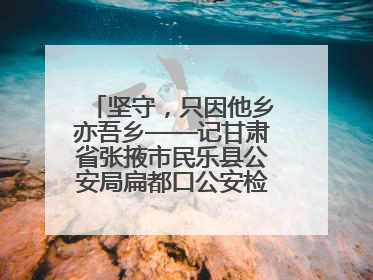坚守，只因他乡亦吾乡——记甘肃省张掖市民乐县公安局扁都口公安检查站民警黄启元