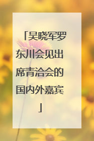 吴晓军罗东川会见出席青洽会的国内外嘉宾
