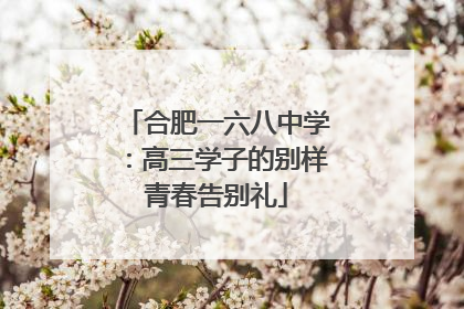 合肥一六八中学：高三学子的别样青春告别礼