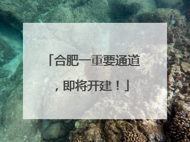 合肥一重要通道，即将开建！