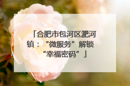 合肥市包河区淝河镇：“微服务”解锁“幸福密码”