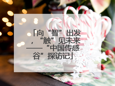 向“智”出发，“触”见未来——“中国传感谷”探访记