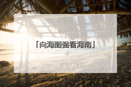 向海图强看海南
